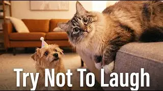 Try Not To Laugh Challenge 😂 Funniest Cats and Dogs 2026 😅 Part 3