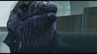 Man Tames Very Big Fish (Nothing Bad Will Happen To It)
