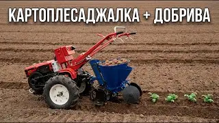 Ланцюгова картоплесаджалка + бункер для добрив: як працює і що дає на практиці