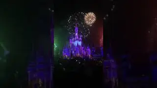 At Disney World and got to see the castle fireworks show
