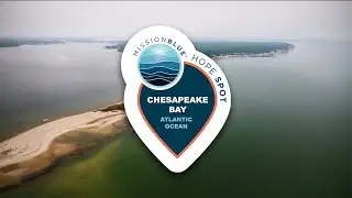 Dr. Sylvia Earle Announces the Chesapeake Bay Hope Spot