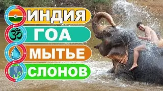 Индия Гоа / Как туристы купаются вместе со слонами / JUNGLE BOOK PARK