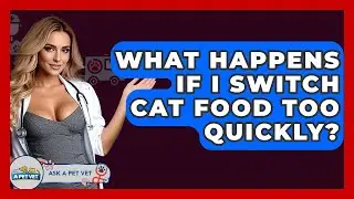What Happens If I Switch Cat Food Too Quickly? - Ask A Pet Vet