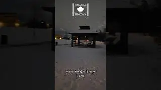 Сара Гао Хали | Канадская зимняя реальность 🇨🇦 #funnyshorts #funny #comedyshorts #comedy #ytshort...