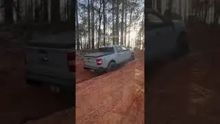 Ford Maverick Hybrid VS Ocala Forests #ford #hybrid #Maverick #offroad