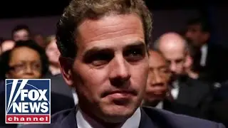 Spending half a million dollars on Hunter Biden's art is 'ludicrous': Joe Mackie