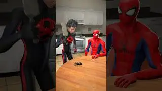 Enough - we are spiders too! 🕷 Spider-man and Miles Morales #funny #animation #memes