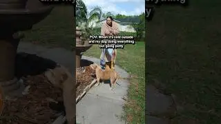 I&rsquo;m freezing hurry up 🐕🥶 #cold #dogs #doglover #relatable #reality #americanbullies