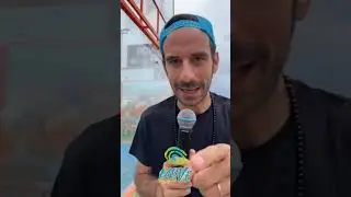 4 agosto 2024