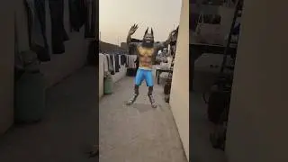 wolf hollowing 🤗🧿🧿🤗🧿🤗#trendingshorts#youtubeshorts
