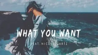 Tim Gartz&Cammora feat  Nicole Gartz - What You Want (Sophill Remix)