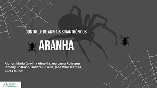 Plano de Controle de animais sinantrópico - Aranhas