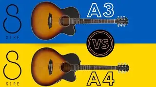 The Amazing Sire Guitars REVIEWED!!! Sire A3 vs Sire A4 | Know the difference!