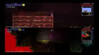 Terraria PS4 Togehter Livestream