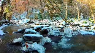 Relaxing Frozen Forest River. Soothing Water Sounds. (10 hours). White noise for sleeping.