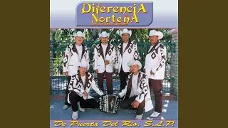 Albur de Amor