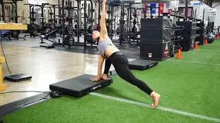 Vibe Plate Movement Flow
