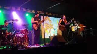 Robotic LIVE @ Amigos
