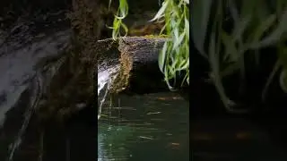 natural water fall #water #ytshorts #shorts #new #live #funny #🥰🥰🥰😍😍