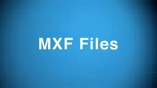 Что такое файлы MXF и как они работают в Avid Media Composer?