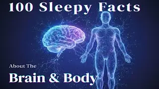 The Most Relaxing Brain&ndash;Body Science Facts to Fall Asleep To
