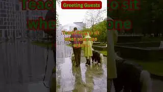 How To Greeting Guests (Tips Tricks)