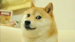 Sega YTP Season 49
