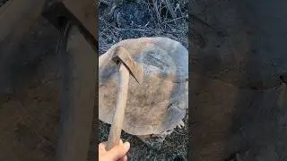 Hitting Hood Log With Old Axe