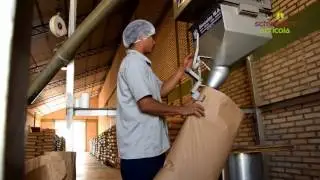 Agr&iacute;cola Schweigert, Chia Organic, Conventional and much more...