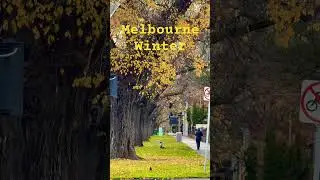 Melbourne CBD walk July 2025 #australia #melbourne #youtubeshorts #winter #shorts