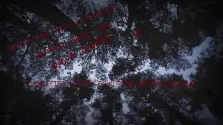 SONIDOS DE TERROR EN EL BOSQUE AL ANOCHECER con Copyright