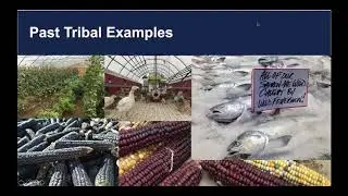 Value Added Producer Grant Webinar 2020