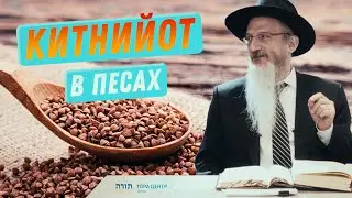 Китнийот в Песах &mdash; р. Берл Лазар &mdash; Тора Центр