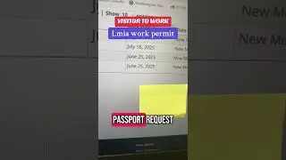 Visitor to Work permit timeline 2025