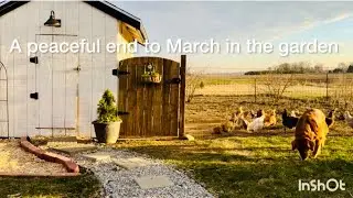 Designing a beautiful new herb garden part 2 / creating a fun Spring flower display