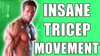 How To Get Big Triceps | Mike O'Hearn