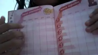Il mio diario scolastico delľ high school musical