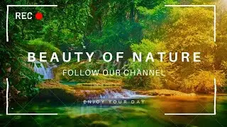 [ Best Nature Shooting Video ] @Shooting_With_Ashvin
