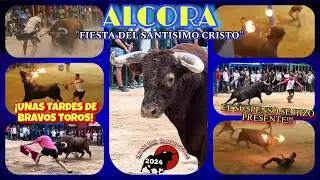 ALCORA - EDICI&Oacute;N VERANO 2024