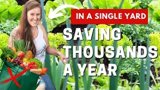 Garden Plants That Save Money On Groceries All Year In Any Climate. KEEP IT SIMPLE