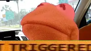 I feel it coming *Kermits brother gets triggered*