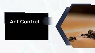 Premium Pest Control