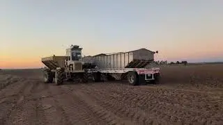 Rice Harvest California 🇺🇸 🇮🇳