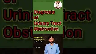Diagnosis of Urinary Tract Obstruction | #shorts #shortsvideo #shorts_video