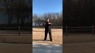 Wudang Hun Yuan Qigong - Rise, Open, Close, and Fall