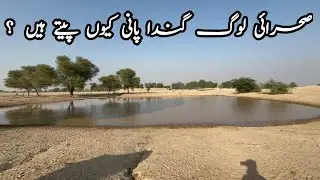 Traditional desert life in Cholistan, Pakistan | Nomadic water Resources | #travel 