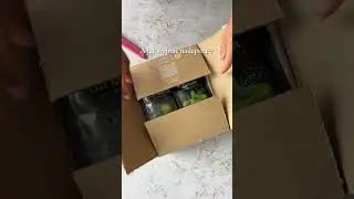 Matcha, kt&oacute;ra zmienia dzień - spr&oacute;buj tradycji Japonii #matcha #japan #natural