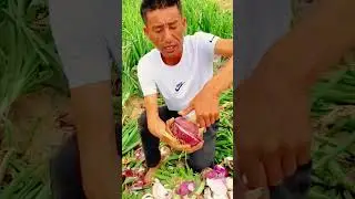 How to Perfectly Slice Red Onions Right in the Field! #SmartFarming #GardeningTips #FreshHarvest
