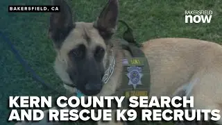 Kern County search and rescue's new K-9 recruits