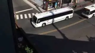 Coach USA ONE Bus : NovaBus RTS-06 #31515/1515 on the 24B at Elizabeth Station